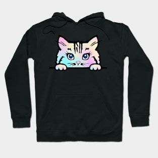 Tie Dye Kitty Hoodie